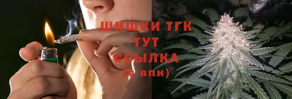 Альфа ПВП Гусев