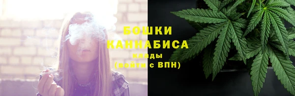 Альфа ПВП Гусев