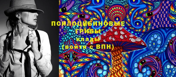 дурь Гусь-Хрустальный