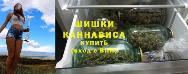 Альфа ПВП Гусев