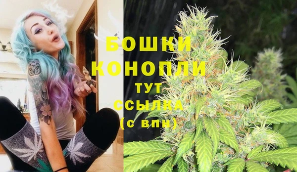 дурь Гусь-Хрустальный