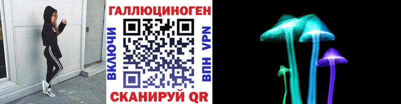 Купить  Кимры  Галлюциногенные грибы MAGIC MUSHROOMS 