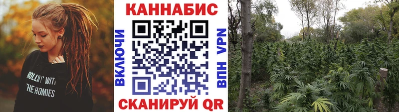 Купить где  Кимры  Шишки марихуана план 